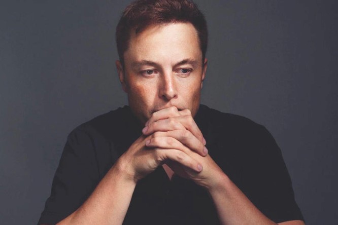 Musk, futuro nei social media è garantito
