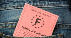 Où trouver le numéro de permis (code NEPH) sur son papier rose ? Trouver le code NEPH sur son permis de conduire
